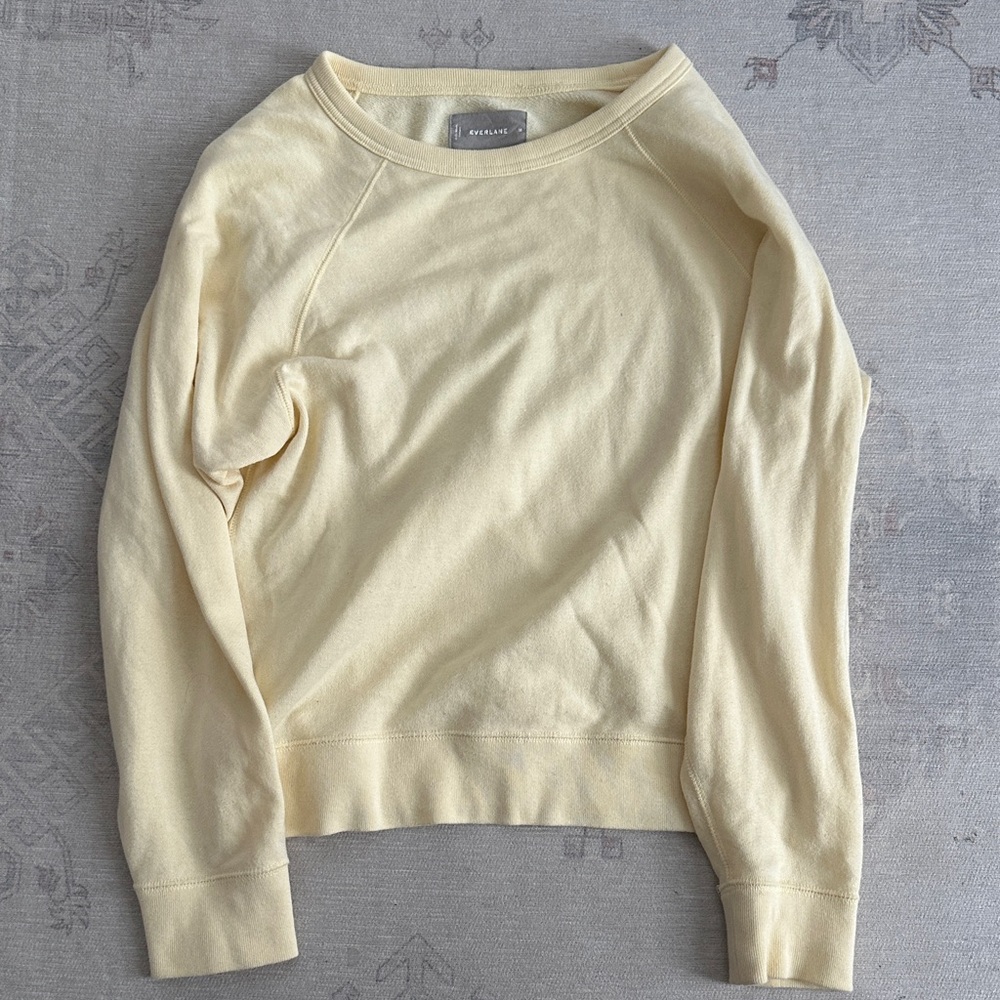 everlane shirt